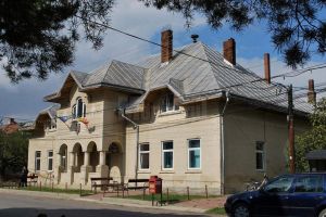 Scandal cu acuzaţii de bătaie între primarul şi viceprimarul din comuna Horodnic de Jos, ...