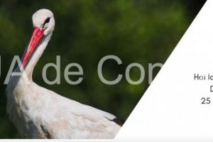 Plasticul, pericol pentru cele 249 cuiburi de berze din judetul Constanta