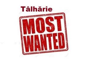 Tâlhărie – cei mai căutaţi infractori din România