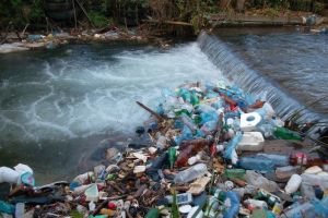 Petiţie pentru igienizarea malurilor Someşului