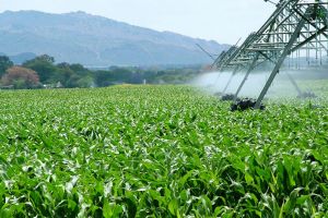 Harghita: 31 de proiecte de investiţii în agricultură, finanţate de guvernul Ungariei