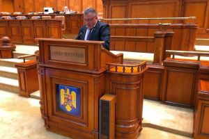 Deputat PNL Sorin Bumb: Remaniere de ochii lumii
