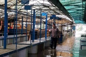 Ploaia şi vântul au făcut ravagii în zona Beiuşului: copaci căzuţi, acoperişuri distruse, piaţa inundată (FOTO/VIDEO)