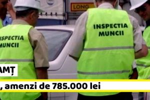 NEAMȚ: ITM, amenzi de 785.000 lei