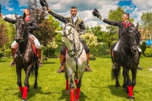 Dracula Horse Festival revine în toamnă cu show-uri de cai de rasă, mâncare bună şi plimbări cu trăsura