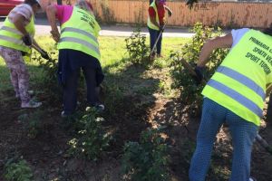Primaria Municipiului Constanta continua actiunile de intretinere si igienizare a spatiilor verzi (galerie foto)