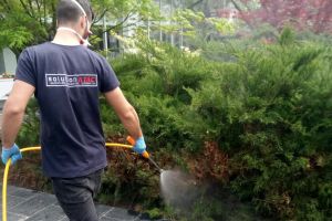 ANUNŢ! În atenţia topliţenilor şi, în special, în atenţia crescătorilor de albine din Topliţa!