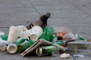 De ce românii încalcă regulile bunului-simţ în ţară şi în străinătate le respectă? Explicaţia sociologului Gelu Duminică