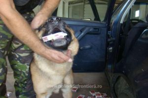 FOTO. Un sătmărean a fost lăsat fără maşină în Vama Halmeu. A fost prins de câinele poliţist