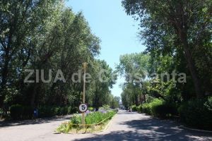 Care este cel mai verde oras din Romania