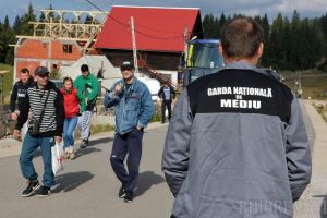 Garda de Mediu Bihor: În ultimele trei luni, comisarii au dat amenzi de aproape 300.000 de lei