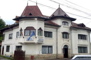 „Ce să facă un primar? Să bată ursul cu nuiaua?”