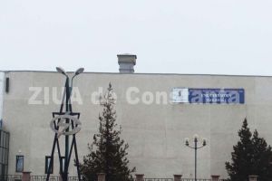 Cat scoate din conturi Nuclearelectrica SA pentru paza CNE Cernavoda. Detalii (document)