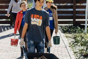 Cluburi IMPACT în Mureş?