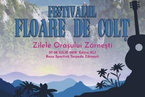 Feli şi Vunk, la Braşov