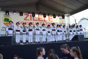 Două zile de evenimente culturale la Cajvana, în cadrul Festivalului folcloric „Din stejar, ...