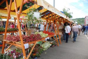 Ziua recoltei, la Zimnicea