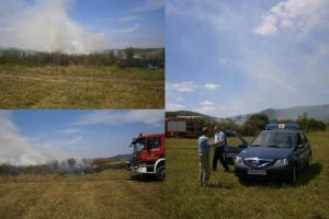 FOTO: Bărbat prins şi amendat cu 6.000 de lei de către Poliţia Locală Alba Iulia pentru că a provocat un incendiu de vegetaţie