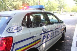 Ordine de protectie provizorii emise de politisti in Mihail Kogalniceanu si Murfatlar