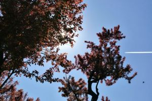 Weekend cu vreme frumoasă şi caldă. Vezi prognoza completă!