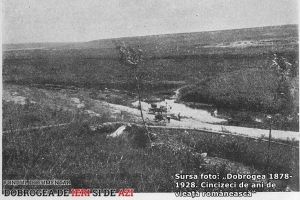 Padurile judetului Constanta, in urma cu aproape un veac (I)