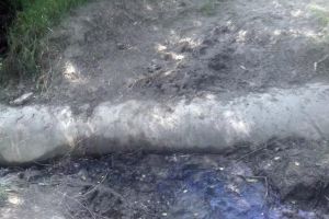 Oamenii din Pleşeşti reclamă că nu-şi pot duce animalele la păşunat din cauza unui ...