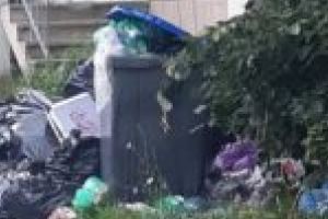 Contracte cu firme specializate…?! Pentru ce? Gunoaiele se pot arunca oriunde!