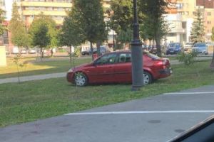 FOTO| Știrea ta: Când uiţi să tragi frâna de mână, te trezeşti cu maşina din parcare în…parc