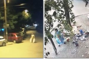 Poliţia Locală îi face de râs pe Facebook pe cei care aruncă gunoaie la colţ de stradă