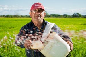 15.000 de euro pentru micii fermieri