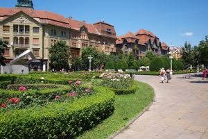 Lipsa banilor şi birocraţia, principalele critici aduse proiectului Timişoara Capitală Culturală Europeană