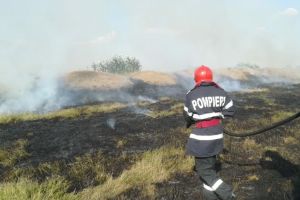 ISU Tulcea: Incendiu la islazul din I. C. Bratianu. Intervin pompierii