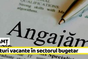 NEAMȚ: 27 posturi vacante în sectorul bugetar la data de 21 iulie