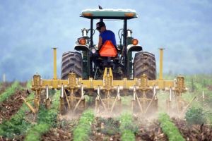 Fermierii pot primi finanţări nerambursabile de 15.000 de euro prin PNDR 2020