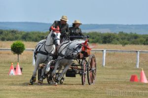 Cel mai mare concurs de atelaje din România a atras la Oşorhei concurenţi din patru ţări (FOTO / VIDEO)