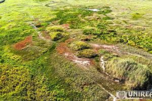 FOTO-VIDEO: Vulcanii noroioşi de la Boz, rezervaţie naturală unică în Alba, ascunsă în Podişul Secaşelor