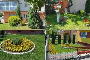 FOTO, VIDEO: Locuitorii de pe o stradă din Alba Iulia au transformat zonele verzi din faţa blocurilor în adevărate oaze de verdeaţă şi curăţenie, pline de flori de toate formele şi culorile