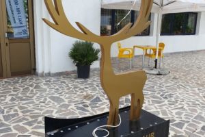 Avanpremiera la Cerbul de Aur 2019: Concurs karaoke la nivel national, organizat de TVR in mai multe orase din tara