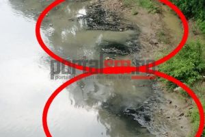FOTO. Poluare masivă pe Someş. Pete uriaşe de ulei!