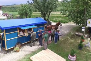 Cum arată şi la ce poate fi folosită trăsura tip fast-food, cel mai nou produs al Direcţiei Silvice Bistriţa (VIDEO)