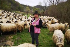 O ciobăniţă din Sibiu cere ajutorul Ministrului Daea – Se plânge de abuzuri grave la Dumbrăveni
