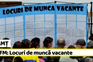 NEAMȚ: 801 locuri de muncă vacante la data de 22 iulie