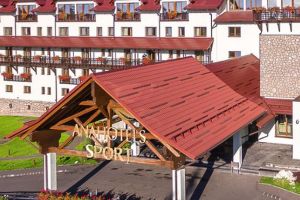 Noua soţie a lui Copos, în Consiliul de Adminsitraţie al Ana Hotels