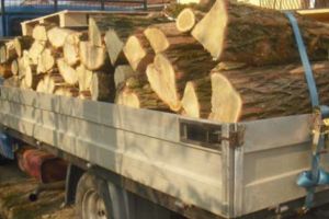 Localnic din Budeasa, a murit descărcând lemne!