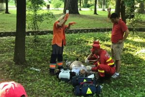 Intervenţie cu multe semne de întrebare a jandarmilor din Vatra Dornei