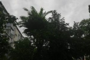 Atentionare meteorologica de cod galben in Maramures si alte judete din tara