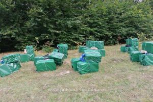 FOTO/VIDEO. Focuri de armă în judeţul Satu Mare, pentru prinderea unor contrabandişti