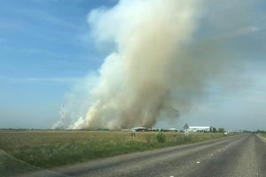 Peste 40 de hectare de vegetaţie uscată ard la Săcălaz