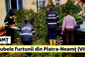 NEAMȚ: Furtună în Piatra-Neamţ: Copac căzut peste maşini, crengi rupte, stâlp îndoit (FOTO-VIDEO)