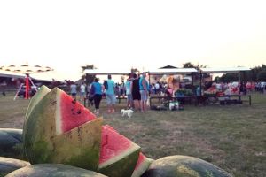 Delia cântă la Festivalul Lubeniţei din Gottlob